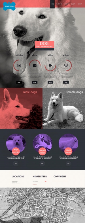 White Shepherd website