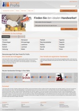 Website Renovation Professionals