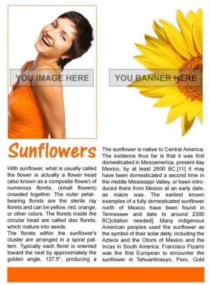 Facebook Fanpage Business 03