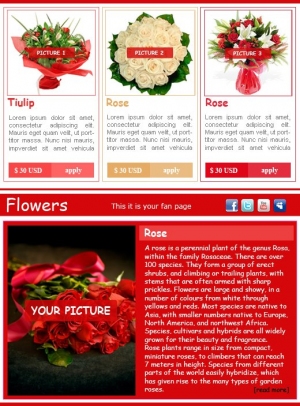 Facebook Fanpage Shop 02