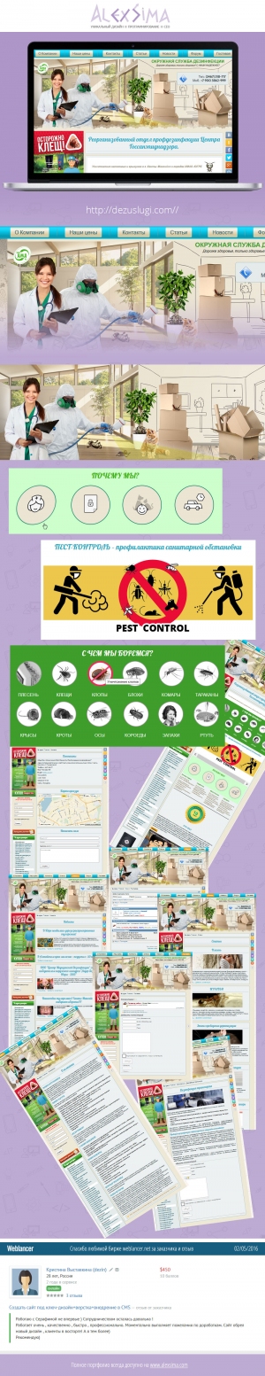 Disposable Services 2016